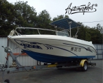 bateau_requin.jpg